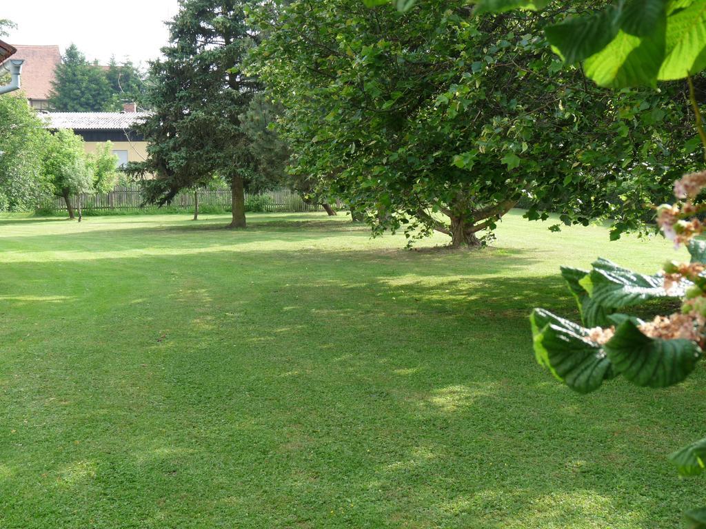 Ferienhaus Muehlblick Oberdachstetten Pokoj fotografie